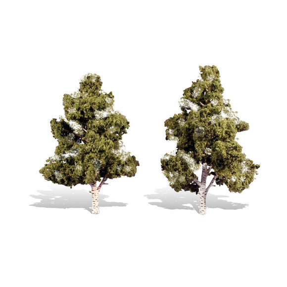Classics Tree, Waters Edge 7-8
