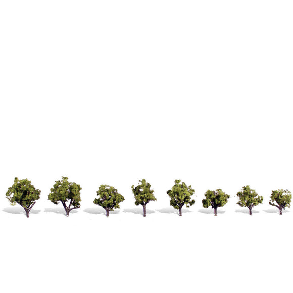 Classic Trees, Early Light .75-1.25