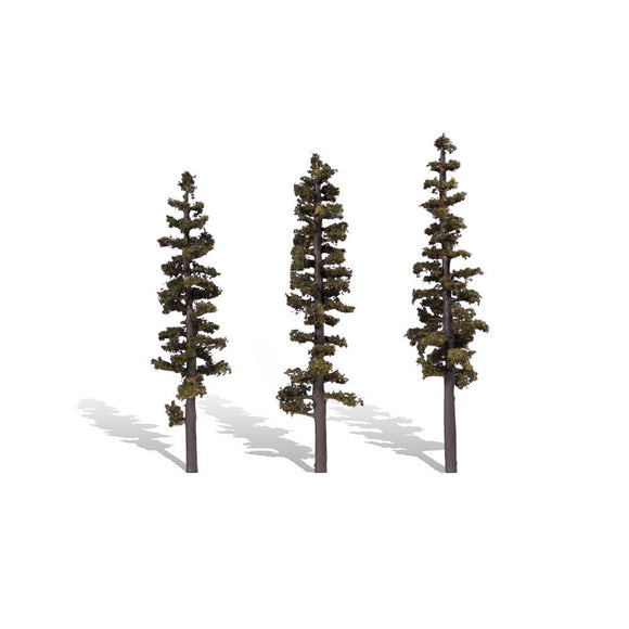 Classic Trees, Standing Timber 7-8
