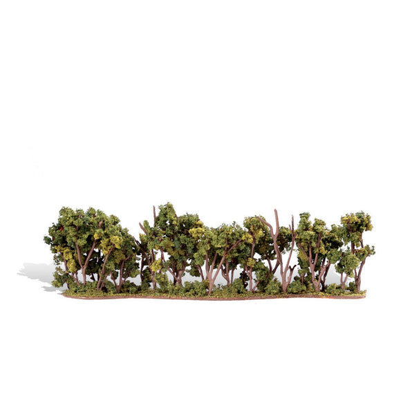 Classics Tree, Hedge Row 1-2