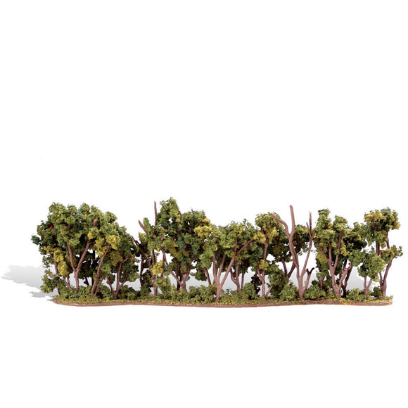 Classics Tree, Hedge Row 1-4