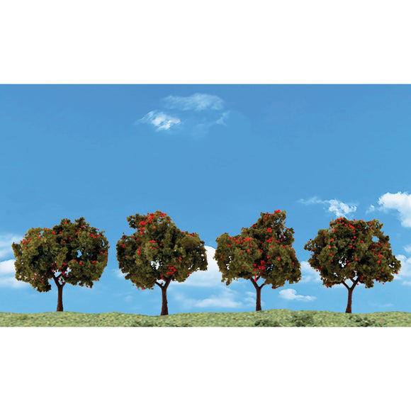 Classics Tree, Apple 2-3