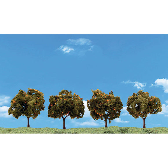 Classics Tree, Orange 2-3