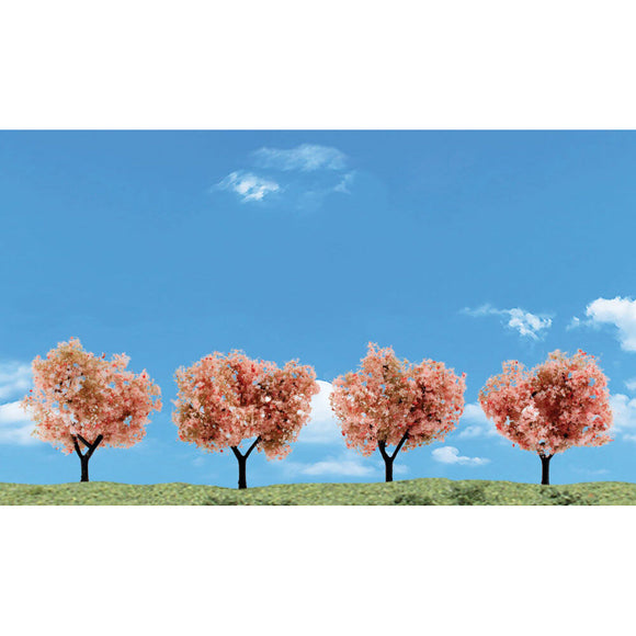 Classics Tree, Flowering 2-3