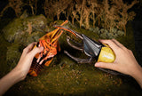 Hercules Beetle 3D Puzzle, Bring Nature Home