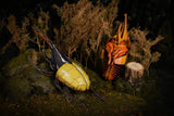Hercules Beetle 3D Puzzle, Bring Nature Home