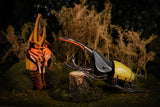 Hercules Beetle 3D Puzzle, Bring Nature Home