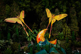 Actias Moth 3D Puzzle, Bring Nature Home