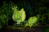 Leaf Insect 3D Puzzle, Bring Nature Home