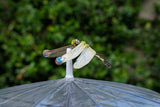 Dragonfly 3D Puzzle, Bring Nature Home