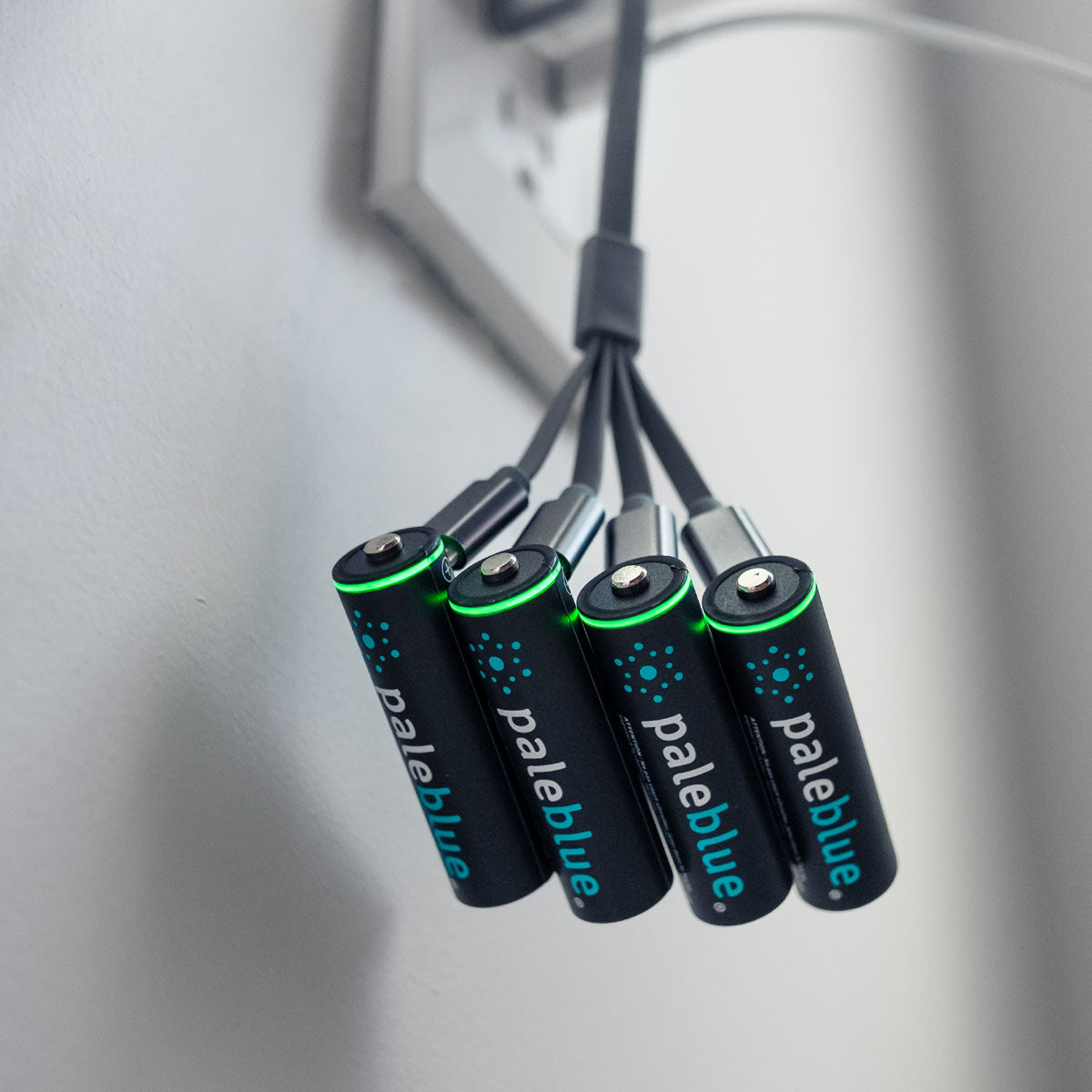 Pale Blue Earth - Pale Blue Lithium Ion Rechargeable AA Batteries 4pk