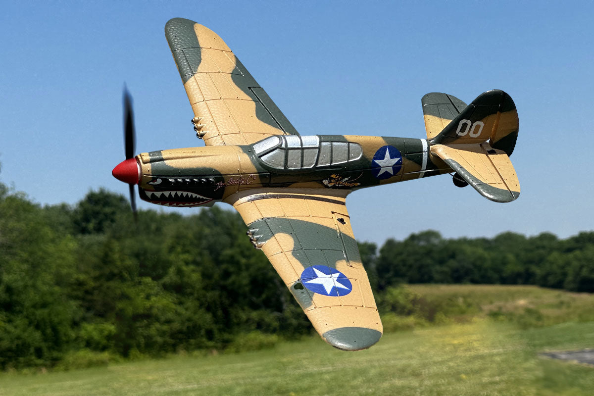Rage R/C - Curtiss P-40 Warhawk Micro RTF Airplane with PASS System