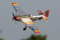Rage R/C - P-51D BL 500mm RFT (Rage) Warbird