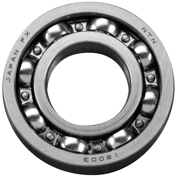 Rear Bearing: 61-300