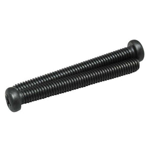 Muffler Screws 10FP FSR (2)