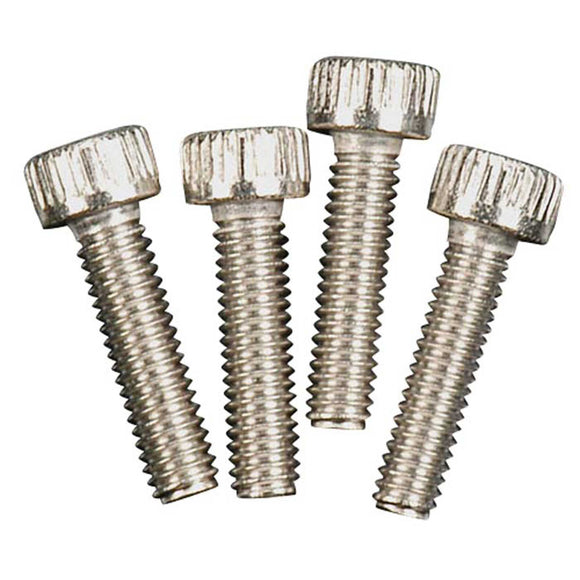 Muffler Assembly Screws #E-2050 (4)