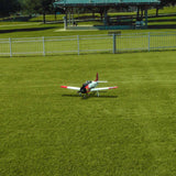 RealFlight Evolution RC Flight Sim Software Only