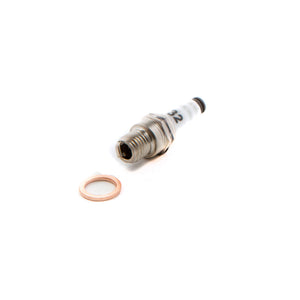 SP-2 Sparkplug: RCEXL Ignition,BM,BN,BS,BZ,CA, CF