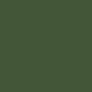 Acrylic Model Paint 1 oz bottle, RAF dark Green