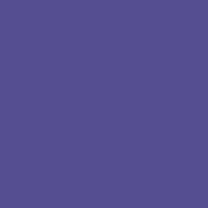 Acrylic Model Paint 1 oz bottle, Purple 1