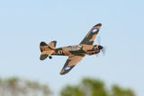 Curtiss P-40 Warhawk Micro RTF Airplane w/PASS